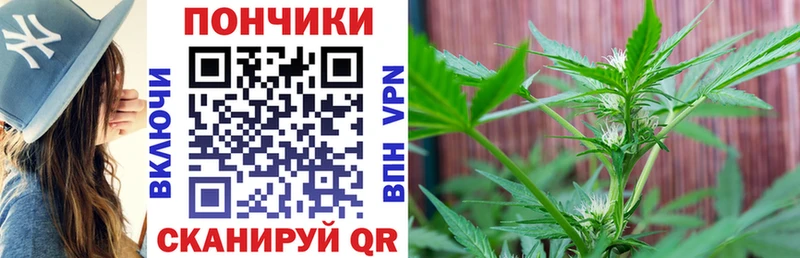 наркота  Советский  Бошки Шишки Ganja 